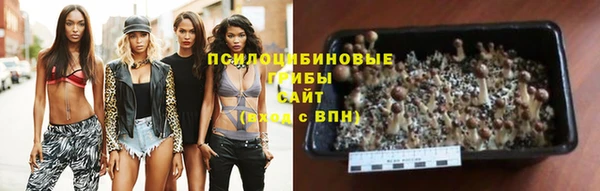стафф Балабаново