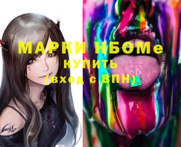 индика Баксан