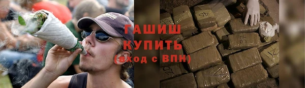 индика Баксан