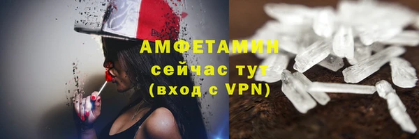 индика Баксан