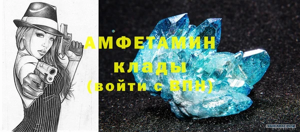 индика Баксан