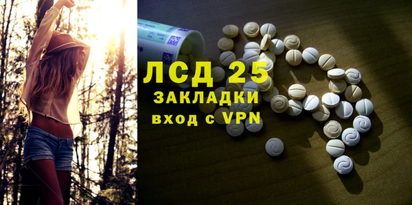 индика Баксан
