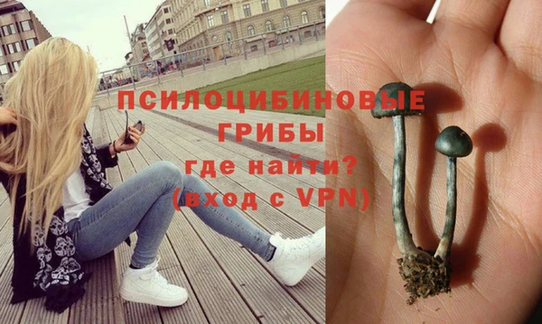 spice Армянск