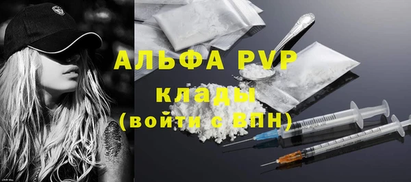 индика Баксан