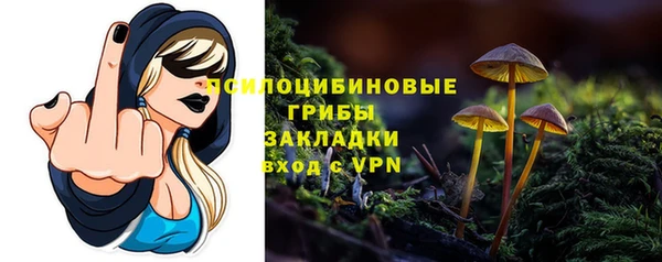 индика Баксан