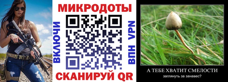 Псилоцибиновые грибы MAGIC MUSHROOMS  Благодарный 